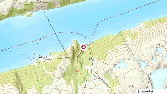 Kart som viser hvor Flørli ligger